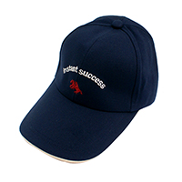 DSC01145 騎馬棒球帽T藍色