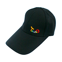 DSC01173 Taiwan彩色棒球帽